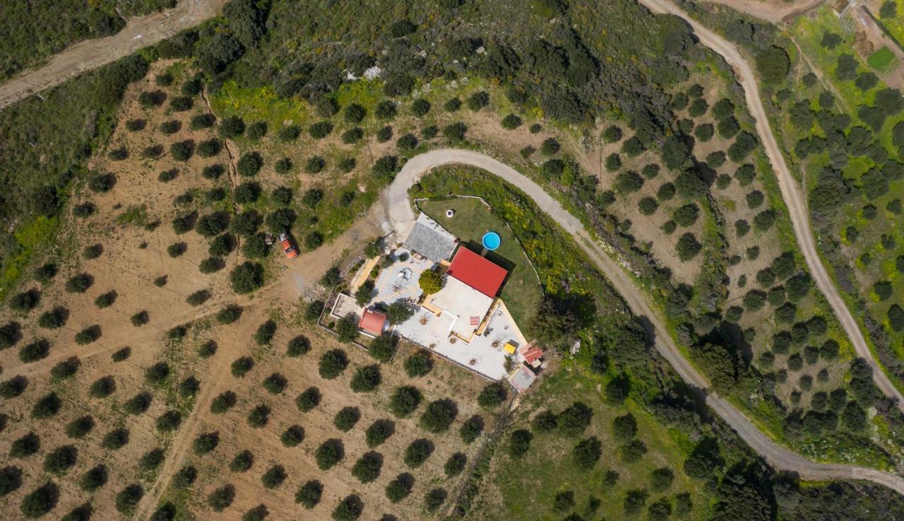 Vila Athor Sitia (Crete)